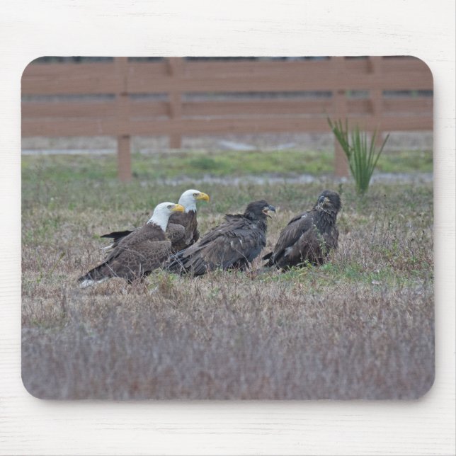 Alfombrilla De Ratón Harriet M15 E10 y E11 (Frente)