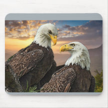 Harriet y M15 cuando miro a tus ojos