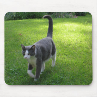 Alfombrilla De Ratón Harrypad 1