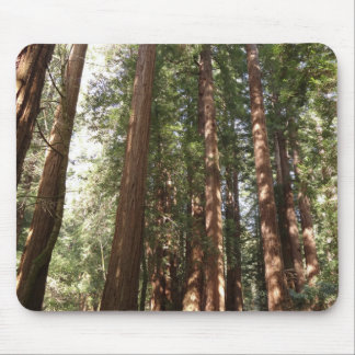 Alfombrilla De Ratón Hasta Redwoods II en el Monumento Nacional Muir Wo