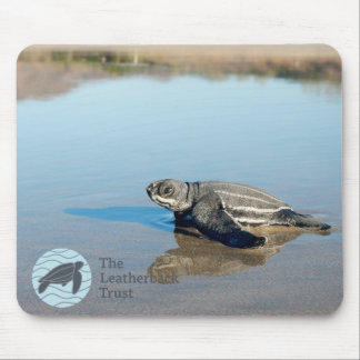 Alfombrilla De Ratón Hatchling Mousepad