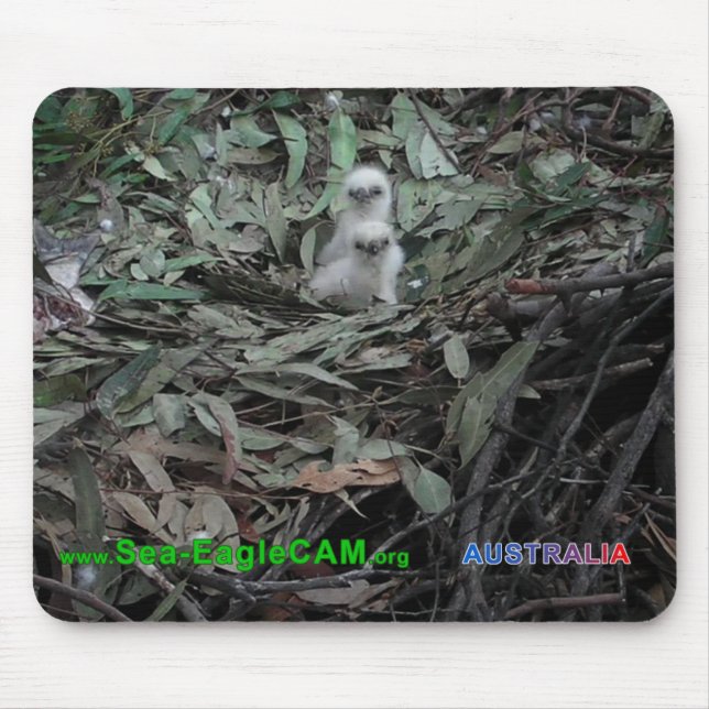 Alfombrilla De Ratón Hatchlings S1 y S2 Mousepad horizontal (Frente)