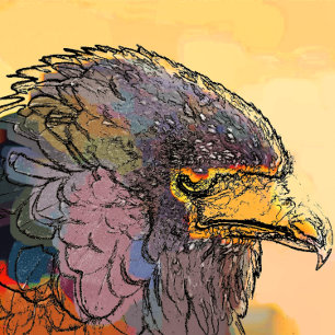 ALFOMBRILLA DE RATÓN HAWK