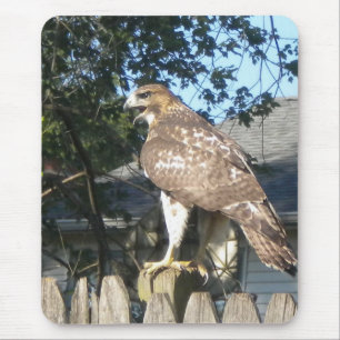 Alfombrilla De Ratón Hawk Mousepad