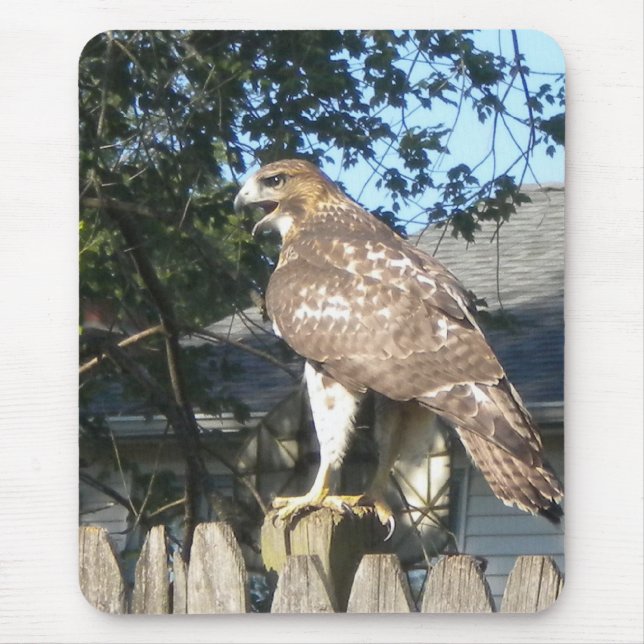 Alfombrilla De Ratón Hawk Mousepad (Frente)