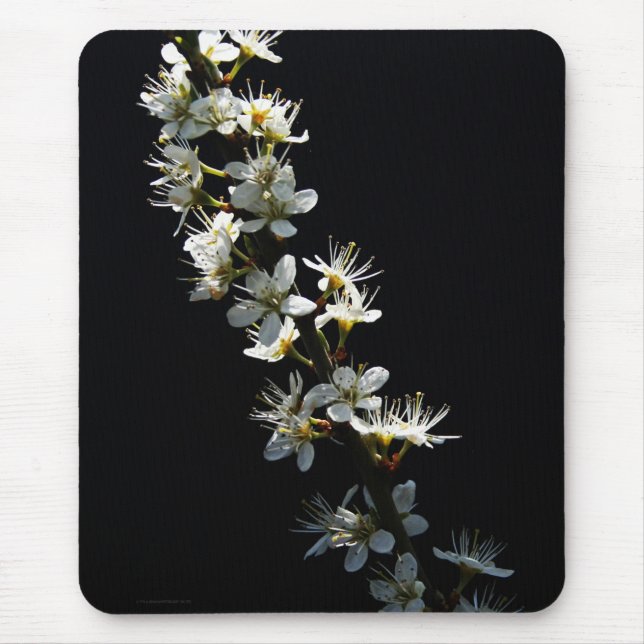 Alfombrilla De Ratón Hawthorn Flowers mpcnm (Frente)