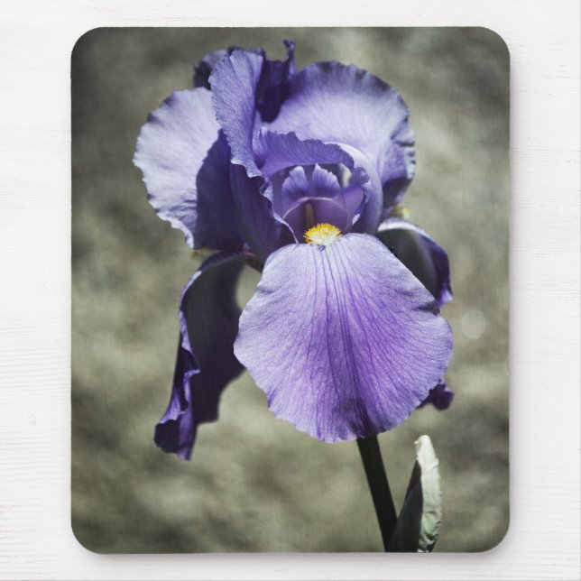 Alfombrilla De Ratón Hay Beauty Mousepad (Frente)
