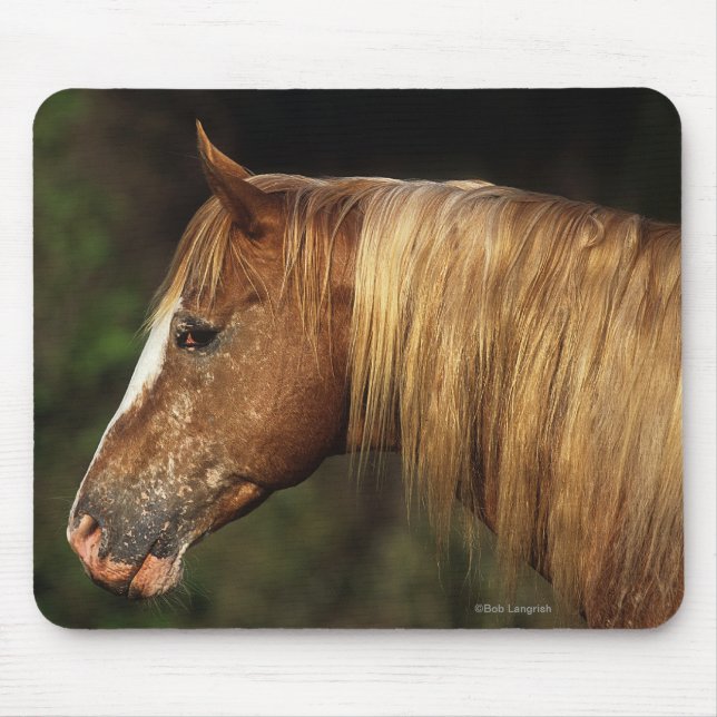 Alfombrilla De Ratón Headshot 1 del caballo del Appaloosa (Frente)
