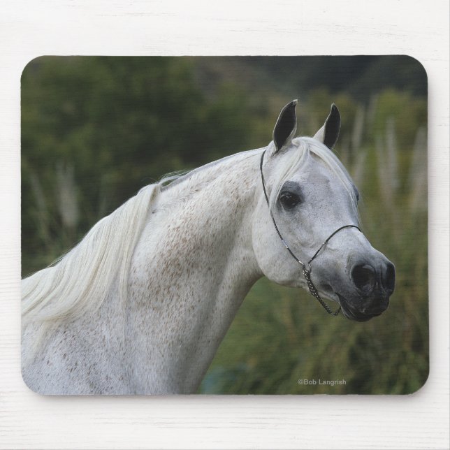 Alfombrilla De Ratón Headshot árabe 1 del caballo (Frente)