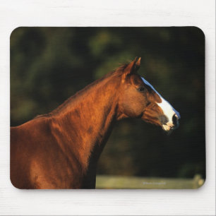 Alfombrilla De Ratón Headshot excelente del caballo