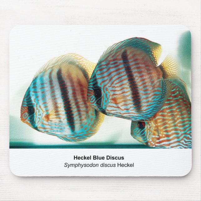 Alfombrilla De Ratón Heckel Blue Discusのマウスパッド (Frente)