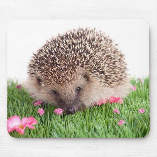 Alfombrilla De Ratón hedgehog, (Frente)