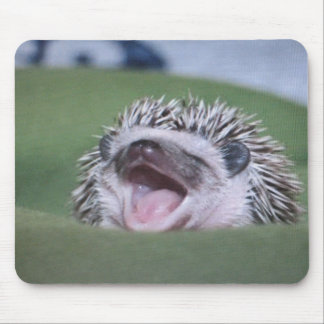 Alfombrilla De Ratón hedgy