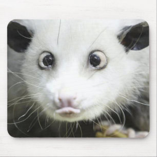 Alfombrilla De Ratón Heidi The Cross Eyed Opossum