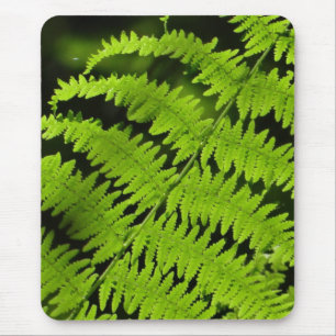 Alfombrilla De Ratón helecho verde