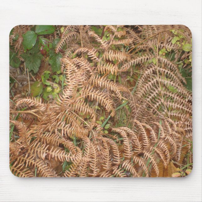 Alfombrilla De Ratón Helechos en otoño (Frente)