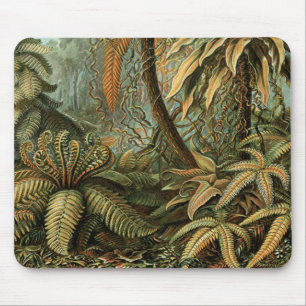 Alfombrilla De Ratón Helechos Palma Árbol Botánica Antigua Helechos Art