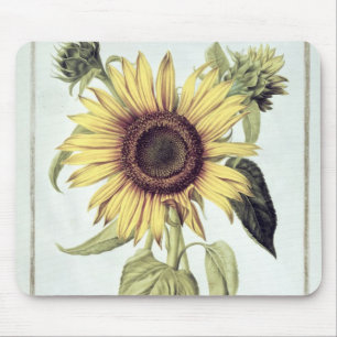 Alfombrilla De Ratón Helianthus annuus de 'Velins du Roi Vol.36'