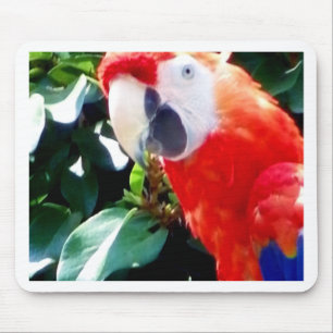 Alfombrilla De Ratón Hello_