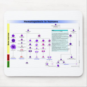 Alfombrilla De Ratón Hematopoyesis en humanos