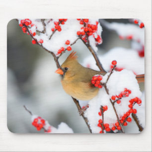 Alfombrilla De Ratón hembra de cardenal norteño en Common Winterberry