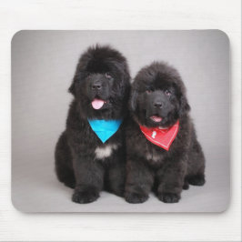 Alfombrilla De Ratón Hermanos Nuwfie