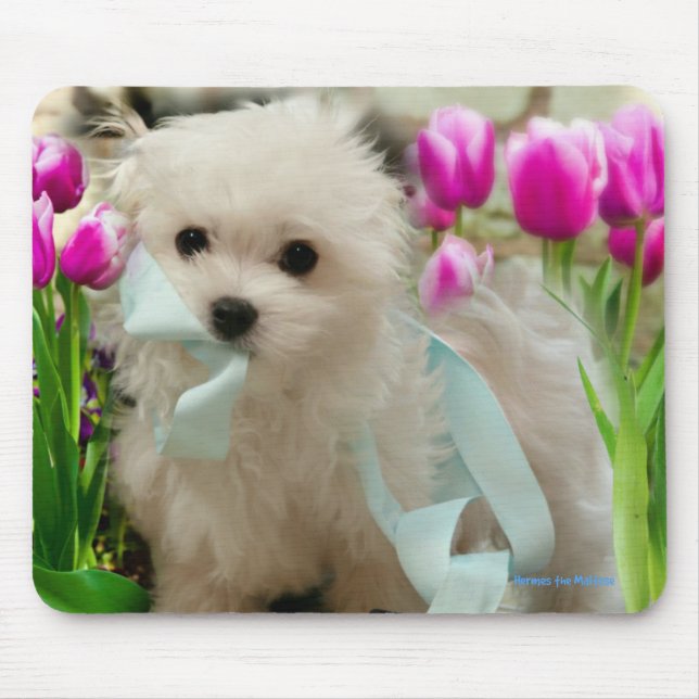 Alfombrilla De Ratón Hermes, el maltés (Frente)