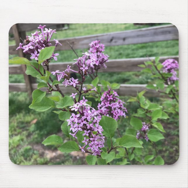Alfombrilla De Ratón Hermosa almohadilla de ratón de flores de Lilac (Frente)