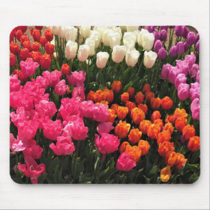 Alfombrilla De Ratón Hermosa cama Tulip Garden, Oregón