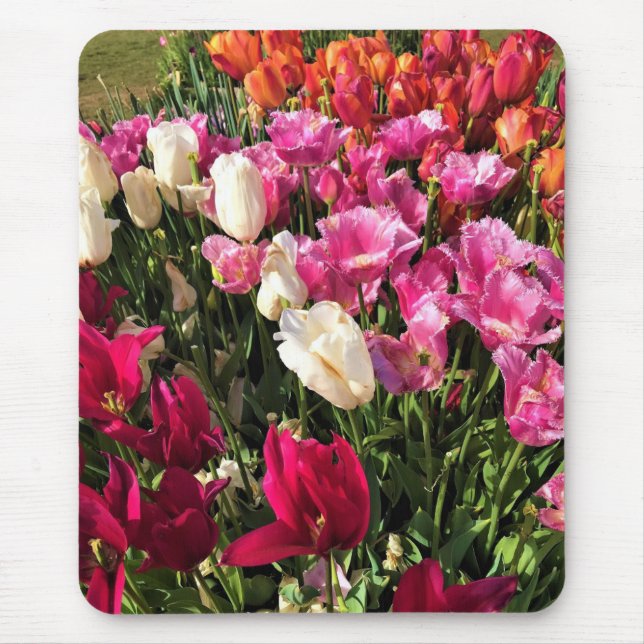Alfombrilla De Ratón Hermosa cama Tulip Garden, Oregón (Frente)