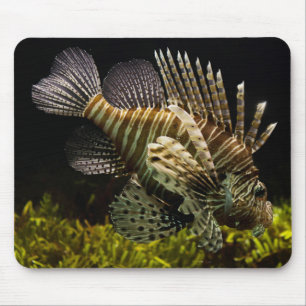 Alfombrilla De Ratón Hermosa cerca submarina de un pez león