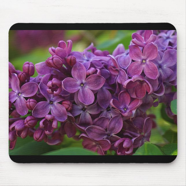 Alfombrilla De Ratón Hermosa flor lila (Frente)