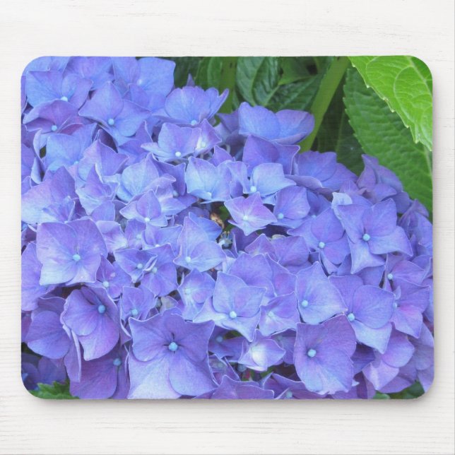 Alfombrilla De Ratón Hermosa Hydrangeas Púrpura (Frente)