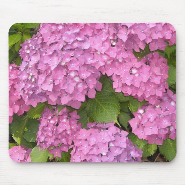 Alfombrilla De Ratón Hermosa Hydrangeas Rosa (Frente)