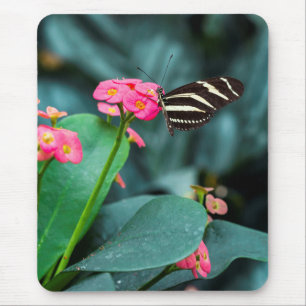 Alfombrilla De Ratón Hermosa mariposa en una flor rosa