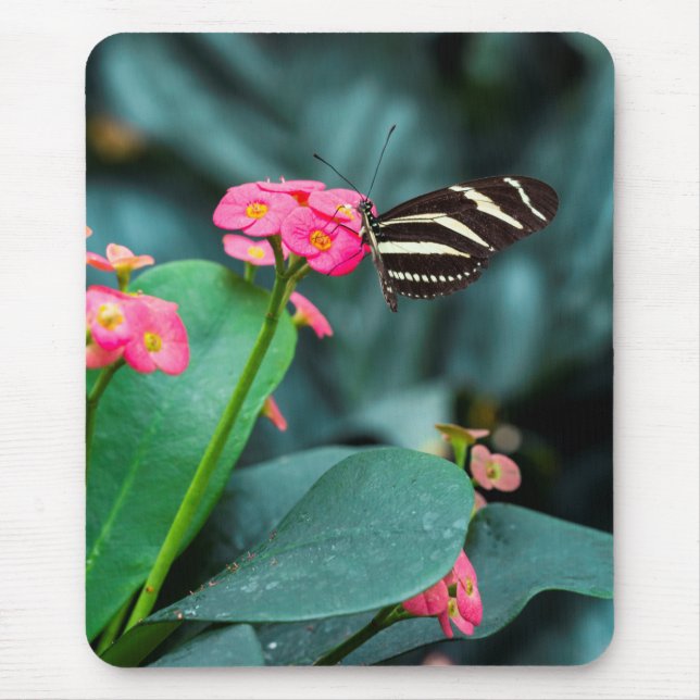 Alfombrilla De Ratón Hermosa mariposa en una flor rosa (Frente)