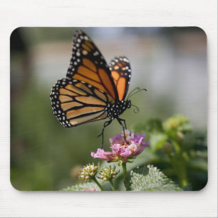 Alfombrilla De Ratón Hermosa mariposa monarca