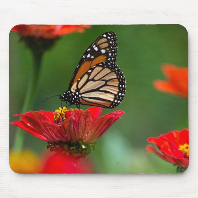 Alfombrilla De Ratón Hermosa mariposa monarca (Frente)