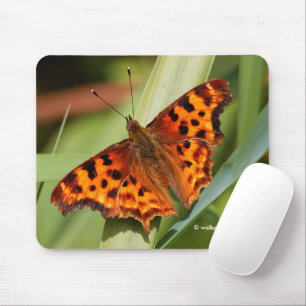 Alfombrilla De Ratón Hermosa mariposa Naranja Satyr Comma