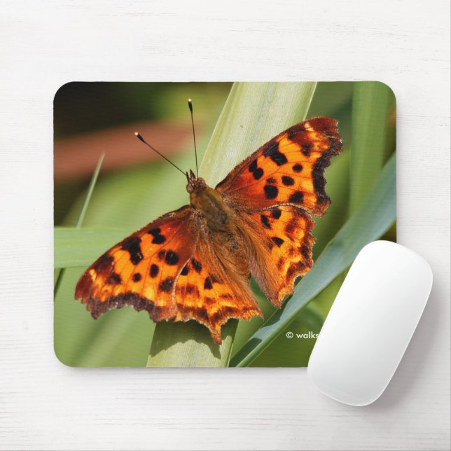Alfombrilla De Ratón Hermosa mariposa Naranja Satyr Comma (Con ratón)