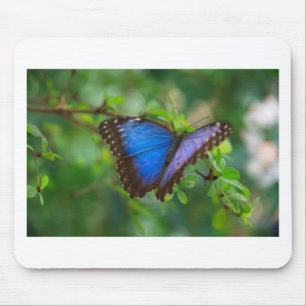 Alfombrilla De Ratón Hermosa morada azul y mariposa negra