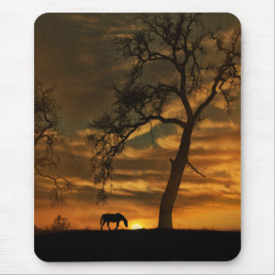 Alfombrilla De Ratón Hermosa Mousepad Bella Artes Fotografía de Caballo