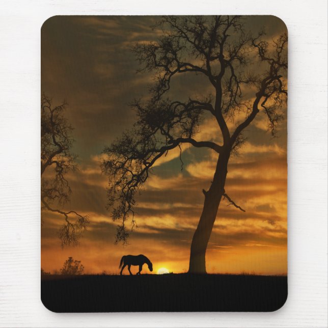 Alfombrilla De Ratón Hermosa Mousepad Bella Artes Fotografía de Caballo (Frente)