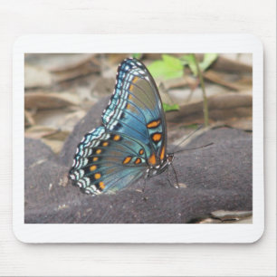 Alfombrilla De Ratón Hermosa Naranja azul y mariposa negra.