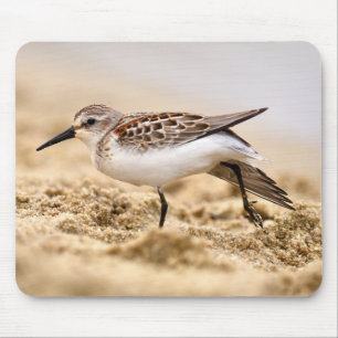 Alfombrilla De Ratón Hermosa pájaro Sandpiper en la arena