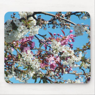 Alfombrilla De Ratón Hermosa primavera rosa, flor blanca de cerezo