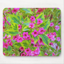 Alfombrilla De Ratón Hermosa Weigela verde con flores de Crimson