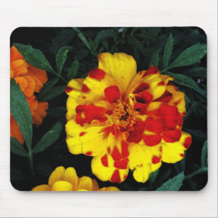 Alfombrilla De Ratón Hermosas flores de Marigold rojas y amarillas
