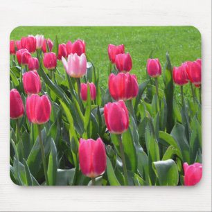 Alfombrilla De Ratón Hermosas flores de tulipán rosado de primavera, ho