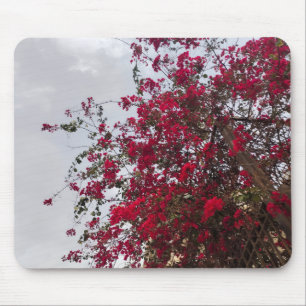 Alfombrilla De Ratón Hermosas flores rojas de Buganvilla y cielo nublad